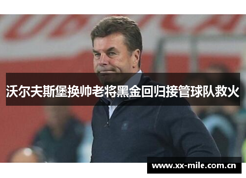 沃尔夫斯堡换帅老将黑金回归接管球队救火 沃尔夫斯堡换帅老将黑金回归接管球队救火