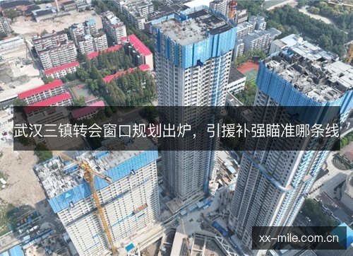 武汉三镇转会窗口规划出炉,引援补强瞄准哪条线 武汉三镇转会窗口规划出炉,引援补强瞄准哪条线